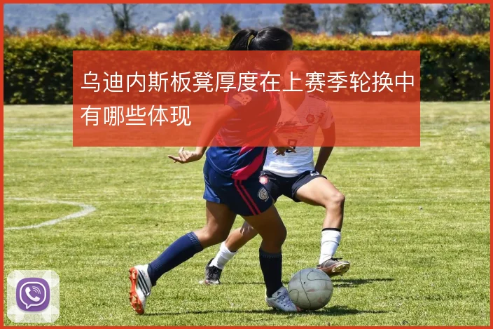 乌迪内斯板凳厚度在上赛季轮换中有哪些体现