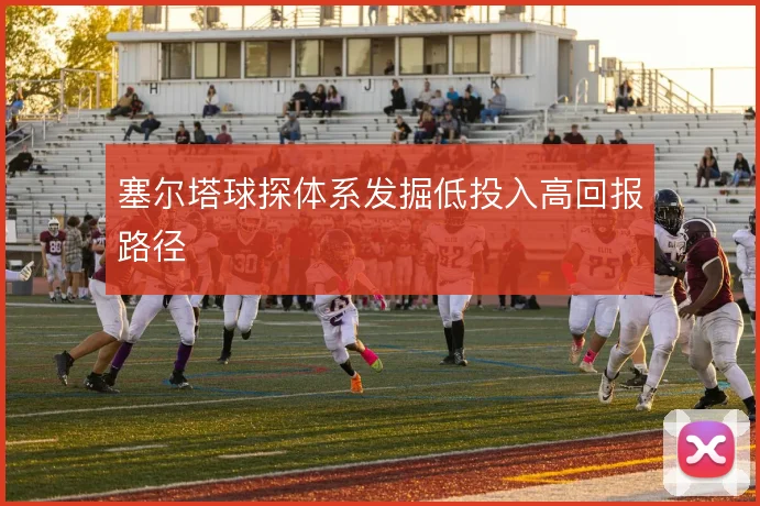塞尔塔球探体系发掘低投入高回报路径